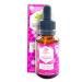 Rosehip Oil .85 Oz With Essential Fatty Acids Vitamin A C And Omega 3-6-9 To Soothe Soften Hydrate and Protect Skin Antioxidant Enriched Paraben and Mineral Oil Free 24 Count