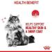 Royal Canin Hair & Skin Care Wet Cat Food in Gravy 48 x 85g - Buy Online on GoSupps.com