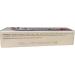 Buy DXN Ganozhi Plus Toothpaste (Pack of 2) with Ganoderma Extract - 150g | Best International Shipping - Buy Online on GoSupps.com