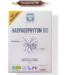 Organic Harpagophytum Bulbs Vegan Organic NUTRIVIE Made in France - Buy Online on GoSupps.com