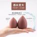 Makeup Sponge Makeup Sponge Puff Egg Microfiber Face Sponge Face Foundation Concealer Cosmetic Powder Sponge Makeup Sponge Holder(Brown-QM) - Buy Online on GoSupps.com