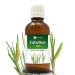 Calamus Oil (Acorus Calamus) Therapeutic Essential Oil by Salvia Amber Bottle 100% Natural Uncut Undiluted Pure Cold Pressed Aromatherapy Premium Oil - 100ML/ 3.38fl oz