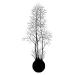 SanerLian Black Tree Tattoo Sticker Set of 12 (SF136) - Temporary Fake Tatoo for Men and Women - Ideal for Arm, Hand, Shoulder, Back - 10.5X6cm - Buy Online on GoSupps.com