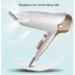 Hairdryer Professional Ionic Hair Dryer 2200W Powerful AC Motor Salon Fast Blow Dryers 3 Heat 2 Speed Settings Hair Dryer with Hair Comb/Nozzle for Men and Women Home and Salon Gold Small Gift - Buy Online on GoSupps.com