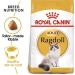 Royal Canin Ragdoll Adult Dry Cat Food 2kg - Buy Online on GoSupps.com