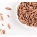 Dry Fruit Nuts Dried nut Best Indian dryfruit|Chilgoza Pine Nut 1 kg - Buy Online on GoSupps.com