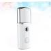 Hemoton 3 Pcs Fashion Mist Sprayer Steamer Creative Nano Mist Sprayer Mini Face Spray Device - Buy Online on GoSupps.com