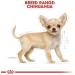 Royal Canin Chihuahua Puppy Dry Dog Food 1.5kg - Buy Online on GoSupps.com
