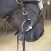 Buy Sprenger Plastic Olive Head Bar Bit Duo 14 | Quality Equestrian Gear - International Shipping - Buy Online on GoSupps.com