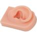 Flexible Reusable Human Ear Model - Soft & Easy to Use for Headphones Display and Acupuncture Training (Light Complexion) - Buy Online on GoSupps.com