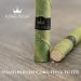 King Palm Slim Size Natural Pre Wrap Palm Leaf Cones | 25 Pack | Corn Husk Filter | Organic Prerolled Cones - Buy Online on GoSupps.com