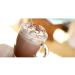 Rombouts hot chocolate mix Instant products 1kg - Buy Online on GoSupps.com