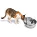 Pioneer Pet Stainless Steel Fountain Raindrop Design - Buy Online on GoSupps.com
