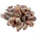 hyd Sal.am Mis.hri Po.wder - S.alab M.isri (100 GMS) - Buy Online on GoSupps.com