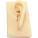ERNZI Life Size Human Ear Model Set - 1:1 Acupuncture Educational Tool (Left & Right 9x5x7 cm) - Ideal for Students & Practitioners - Buy Online on GoSupps.com