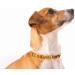 AmberPetCare Raw Baltic Amber Necklace for Dogs & Cats Natural Healing & Style - Buy Online on GoSupps.com