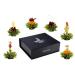 Creano 6 Teblumen Green Tea Gift Box - Premium Magnetic Box with Silver Embossing - 6 Varieties - Perfect Christmas Gift - Buy Online on GoSupps.com