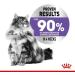 Royal Canin Appetite Control Care Adult Wet Cat Food in Gravy Adult Wet Cat Food 85g (Pack of 48) Meat 48 count (Pack of 1) - Buy Online on GoSupps.com