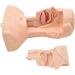 CHROX PVC Nasal Cavity Oral Suction Training Model (Medical Model) Advanced Suction Practice Model for Nursing Medical Training - Buy Online on GoSupps.com