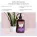 ARGANICARE - Apr s-Shampoing R parateur la Figue de Barbarie et la Vitamine E - Soin pour Cheveux - 400 ml - Buy Online on GoSupps.com