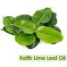 Kaffir Lime Leaf Oil (Citrus Hystrix) 100% Natural Pure Undiluted Uncut Carrier Oil 30ml Kaffir Lime Leaf 30 ml - Buy Online on GoSupps.com