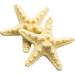 2 Pcs Starfish Hair Clip Resin Beach Sea Star Hair Pins Mermaid Hair Clips Accessories for Women and Girls Bridal Flower Girl Accessories for Wedding. - Buy Online on GoSupps.com