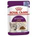 Royal Canin Sensory Taste in Jelly Wet Cat Food 85g (Pack of 48)