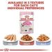Royal Canin Kitten in Jelly Wet Cat Pouches 85g (Pack of 12) - Buy Online on GoSupps.com