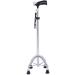 Practical Elderly People Small Four Leg Based Aluminum Alloy 10 Height Adjustment Walker with Appropriate Cane for Disabled People gait Cane Interesting