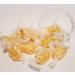 Old Timers Pineapple Sherbet Hard Boiled Sweets by Stockley's in Reusable Victorian Style Jar 600 grams - Buy Online on GoSupps.com