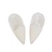 Buy Halloween Party Teeth 1.8 cm Odorless Family Dentures for Personalized Parties | Spook Up Your Celebrations! - Buy Online on GoSupps.com