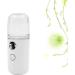 Mini Humidificateur Portable Spray Nano Hydratant Visage Compact Blanc Vaporisateur d'Air Mini pour Soins Peau et Hydratation en D placement - Buy Online on GoSupps.com