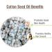 Cotton Seed Oil 100% Pure & Natural - 30 ML | Aromatherapy & Therapeutic Grade Carrier Oil - Buy Online on GoSupps.com