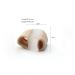 CLIO Bunion Toe Corrector with Gel Spacers - 2 Loops for Overlapping Toes and Bunion Separation - Buy Online on GoSupps.com