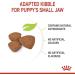 Royal Canin Mini Puppy Food for Puppies | 800 g | Dry Food for Puppies | Complete Food for Dogs | for Pet - Buy Online on GoSupps.com