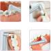 Boyizupha End Tuft Tapered Trim Toothbrush - Medium (Color Random) - Buy Online on GoSupps.com