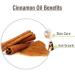 Crysalis Cinnamon Oil (Cinnamomum verum) - 1.01 Fl Oz (30ml) | Pure Essential Oil for Natural Wellness - International Shipping Available - Buy Online on GoSupps.com