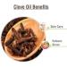 Clove Oil (Syzygium aromaticum) 100% Pure & Natural Undiluted Uncut Essential Premium Aromatherapy Oil - 15ml Clove 15 ml (Pack of 1) - Buy Online on GoSupps.com