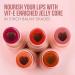 Hydrating Tinted Lip Balm - Light Red 3g with Jojoba Oil Shea Butter & Vitamin E | Moisturizing Lip Care for All Skin Types - Buy Online on GoSupps.com