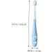Beaupretty 2pcs Baby Toothbrush Set - Perfect Gift for Baby Showers & Infant Oral Care - Buy Online on GoSupps.com