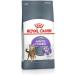 ROYAL CANIN Appetite Control Care | Pack of 3 | 3 x 400 g | Dry Food for Adult Cats | Recommended to Control Begging Behavior | Also for Castrated Cats - Buy Online on GoSupps.com