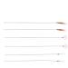 MACIMO 10Pcs Goose Feather Earpick Wax Remover Curette Spoon Cleaner Stick (Color CA) - Buy Online on GoSupps.com