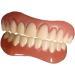 Flipped Warm 2 Pairs False Teeth Veneers - Cosmetic Temporary Dentures for a Perfect Smile - Buy Online on GoSupps.com