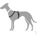 HUNTER Vario Rapid Harness 38-52 cm - Black | Premium Comfort & Durability for Dogs | International Shipping Available - Buy Online on GoSupps.com