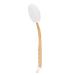 Lotion Applicator with 6 Replacement Heads - Long Handle Shower Back Scrubber for Men and Women - Professional Back Brush for Home Use - Buy Online on GoSupps.com