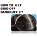 The Body Shop Ginger Anti Dandruff Shampoo Green Honey 400ml - Pack of 1 - Buy Online on GoSupps.com