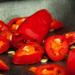 Sliced Chilli Peppers 280g | Calabrian Pickled Chillies for Hot sauce | Peccati di Calabria | Preserved in sunflower oil | Artisan Italian - Buy Online on GoSupps.com