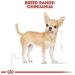 ROYAL CANIN Chihuahua Adult Wet Dog Food Pouches 12x 85g - Nutritious Meal for Chihuahuas - Buy Online on GoSupps.com