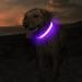 Masbrill Luminous LED Dog Collar - Waterproof Adjustable Safety Collar for Small & Medium Dogs - 3 Lighting Modes - Purple (48-60cm) - Buy Online on GoSupps.com