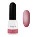 Didier Lab - Premium Gel Nail Polish Natural Look No17- Gel Nail Varnish - Nail Art - Long-Lasting Nail Polish - Easy to Apply - Gel Nails - Jelly Nail Polish - UV/LED - Chip Resistant